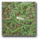 [Click to enlarge]